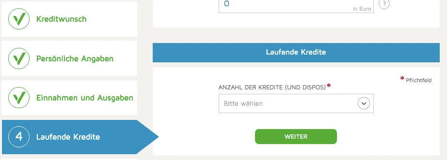 Eingabe laufender Kredite