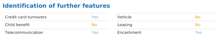 automatische Erkennung von speziellen Ausgaben wie Kinder, Auto, Leasing