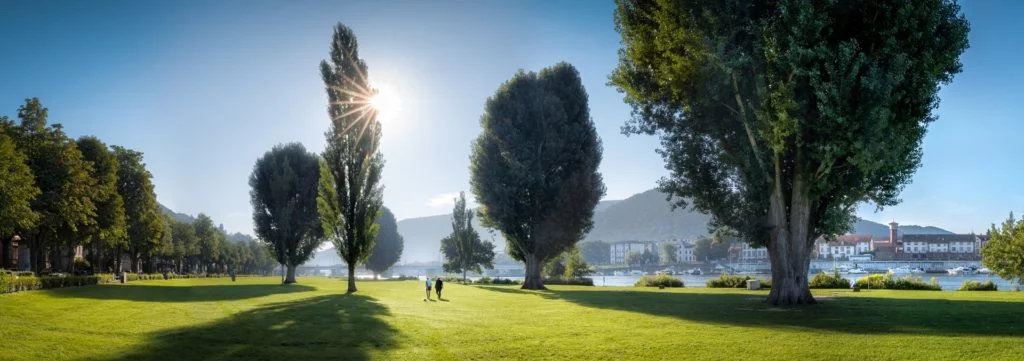 Lebensqualität in Heidelberg