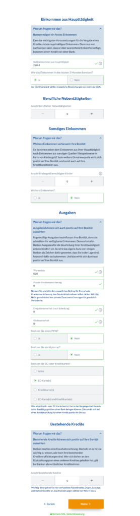 Nun folgen ausführliche Abfrage zum Einkommen, Nebentätigkeiten und Ausgaben.